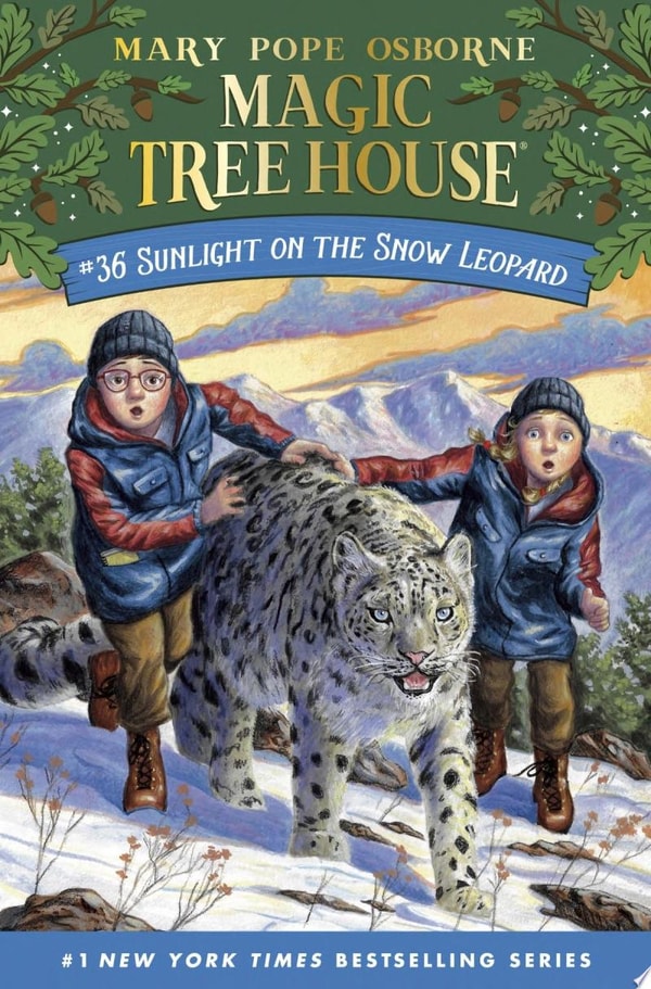 Magic Tree House: Merlin Missions series cover